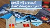 How to Pay Credit Card Bills: క్రెడిట్ కార్డు బిల్లు చెల్లించలేకపోతున్నారా ? ఇలా చేయండి