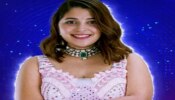 BB 7 Telugu Elimination: బిగ్ బాస్ నుండి సింగర్ దామిని ఔట్.. వెళ్తూ.. వెళ్తూ.. శివాజీపై హాట్ కామెంట్స్..