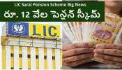 LIC Saral Pension Scheme: ఒక్కసారి ప్రీమియం చెల్లిస్తే.. జీవితాంతం పెన్షన్ ఇచ్చే స్కీమ్