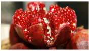 Pomegranate Health Benefits: ఒక్క దానిమ్మతో 100 రోగాలు పరార్.. ఈ ఆరోగ్య ప్రయోజనాలు తెలుసుకోండి..