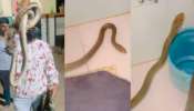 Snake In Toilet: బాప్ రే.. టాయ్ లెట్ లో 10 అడుగుల పాము.. వీడియో వైరల్..