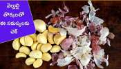 Garlic Peel Benefits: వెల్లుల్లి పీల్స్‌తో అద్భుతమైన లాభాలు.. ఇలా చేయండి చాలు!