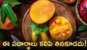 Foods Not Have With Mango: మామిడి పండు తిన్న వెంటనే ఈ పదార్థాలు తినకూడదు!