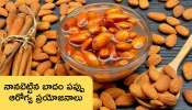  Soaked Almonds: నానబెట్టిన బాదం పప్పు తీసుకోవడం వల్ల కలిగే  ఆరోగ్య ప్రయోజనాల గురించి తెలుసుకోండి!