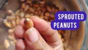  Sprouted Peanuts: పల్లీలను మొలకెత్తించి తినడం వల్ల కలిగే అద్భుత లాభాలు తెలుసా..?