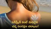 Home Made Sunscreen: ఇంట్లో చర్మ సంరక్షణ.. సన్‌స్క్రీన్ కంటే మెరుగ్గా పనిచేస్తే చర్మ సంరక్షణ చిట్కాలు!