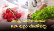 Tips For Cleaning Fruits &amp; Veggies: పండ్లు, కూరగాయలపై ఉండే రసాయణాలు తొలగాలంటే ఇలా చేయండి..!