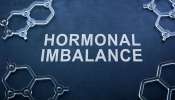 Hormone Balancing Food: హార్మోన్ల ఇన్‌‌‌బ్యాలెన్స్‌తో బాధపడుతున్నారా..? ఈ పదార్థాలతో బ్యాలెన్స్ చేసుకోండి