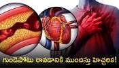 Causes Of Heart Attack: ఈ భాగాల్లో నొప్పులు వస్తే అది ఖచ్చితంగా గుండెపోటు రావడానికి ముందస్తు హెచ్చరిక!