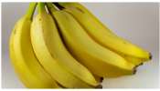 Bananas for healthy heart: అరటి పండ్లతో మీ గుండె పదికాలలాపాటు పదిలం.. ఎలానో తెలుసా?