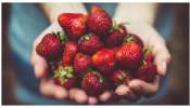 Strawberry benefits: స్ట్రాబెర్రీలు తింటున్నారా? అయితే, మీకు ఈ 5 రోగాలు దరిచేరవు..