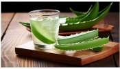 Aloe vera juice benefits: కలబంద రసం ప్రతిరోజు తాగడం వల్ల మీ శరీరానికి 8 ఆరోగ్య ప్రయోజనాలు..