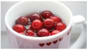 Cranberry Juice benefits: క్రాన్బెర్రీ జ్యూస్‌ తరచూ తీసుకుంటే మహిళలకు వరం.. ఈ ప్రాణాంతక వ్యాధులకు చెక్‌..