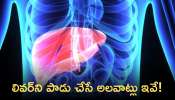 Liver Damage: మీ లివర్‌ను తీవ్రంగా దెబ్బతీసే 10 అలవాట్లు ఏంటో తెలుసా?