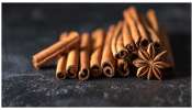 Cinnamon On Empty Stomach: చిటికెడు దాల్చినచెక్క పొడి పరగడుపున తీసుకుంటే ఎన్ని ఆరోగ్య ప్రయోజనాలు పొందుతారో తెలుసా?