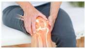 Joint Pains: ఈ 7 మూలికలు కీళ్ల నొప్పులకు ఎఫెక్టీవ్‌ రెమిడీ.. ఒక్కసారి వాడి చూడండి..