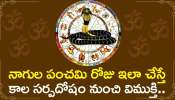 Kala Sarpa Dosha: నాగుల పంచమి రోజు ఇలా చేస్తే  కాల సర్పదోషం నుంచి విముక్తి..