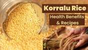 Korralu Rice: కొర్ర అన్నం తయారీ విధానం, లాభాలు ఇవే!!