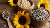 Sunflower Seeds: ఉదయాన్నే గుప్పెడు పొద్దుతిరుగుడు గింజలు తింటే ఇన్ని లాభాలు క‌లుగుతాయా..?