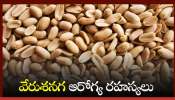 Peanut Benefits: రోజు వేరుశనగ తింటే ఏం జరుగుతుందో తెలుసా?