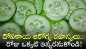 Cucumber Health Secrets: దోసకాయ ఆరోగ్య రహస్యలు.. రోజు ఒక్కటి తిన్నరనుకోండి..!