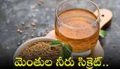 Fenugreek Water Secrets: మెంతుల నీరు సిక్రెట్‌.. రోజు ఇలా ఉదయాన్నే తాగితే ఆ వ్యాధులకు చెక్!