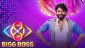 Bigg Boss 8 Contestants Remuneration: భారీ రెమ్యూనరేషన్ అందుకుంటుంది ఎవరంటే..! అత్యంత తక్కువ అతనికేనా?