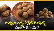 Nuvvula Laddu Secret: నువ్వుల లడ్డు సీక్రెట్‌ బెనిఫిట్స్‌.. ఏంటో తెలుసా?