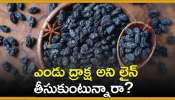 Black Raisins Benefits: ఎండు ద్రాక్ష అని లైన్‌ తీసుకుంటున్నారా? ఈ వ్యాధులకు సైతం చెక్ పెడుతుంది!