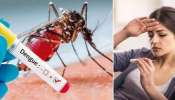 Dengue Remedies: ఈ 5 జ్యూస్‌లు తాగితే డెంగ్యూ ముప్పు నుంచి కాపాడుకోవచ్చు