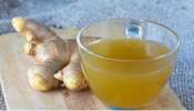 Ginger Juice Benefits: డయాబెటిస్, కొలెస్ట్రాల్, బెల్లీ ఫ్యాట్ అన్ని సమస్యలకు చెక్ ఎలాగో తెలుసా