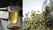 Fennel Seeds Water: పరగడుపున గోరువెచ్చని నీటిలో ఈ గింజలను కలిపి తాగుతే ఆ సమస్యలకు చెక్‌!