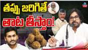 Tirumala Laddu Controversy: తిరుమల లడ్డూ వ్యవహారంపై పవన్ రియాక్షన్ ఇదే.. వైసీపీ సంచలన నిర్ణయం