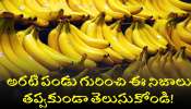 Banana Benefits In Telugu: అరటి పండు గురించి ఈ నిజాలు తప్పకుండా తెలుసుకోండి!