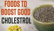 Foods For Good Cholesterol: మీ ఆహారంలో వీటిని తింటే గుండె పోటు రమ్మన్నా రాదు..