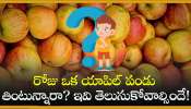 Apple Fruit Benefits: రోజు ఒక యాపిల్ పండు తింటున్నారా? ఇవి తెలుసుకోవాల్సిందే!