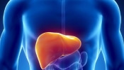 Fatty Liver: ఫ్యాటీ లివర్ సమస్య హార్ట్ ఎటాక్, బ్రెయిన్ స్ట్రోక్‌కు దారి తీస్తుందా