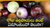 Onion Hidden Facts: రోజు ఉల్లిపాయలు తింటే ఏమౌంతుందో తెలుసా?