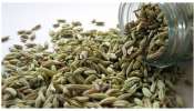 Fennel Seeds: సోంపు గింజలు ఇలా తింటే అనారోగ్య సమస్యలు ఇట్టే పరార్‌..