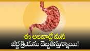 Digestion Damage Habits: ఈ అలవాట్లే మన జీర్ణ క్రియను దెబ్బతీస్తున్నాయి!