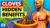 Cloves Benefits: ఇవి నమిలి తింటే గ్యాస్ట్రిక్‌, మధుమేహాకి శాశ్వంగా చెక్!