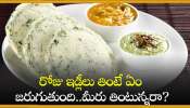 Idli Nutrition Facts: రోజు ఇడ్లీలు తింటే ఏం జరుగుతుంది..మీరు తింటున్నరా?