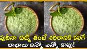  Mint Chutney Facts: పుదీనా చట్నీ తింటే శరీరానికి కలిగే లాభాలు అన్నో ఎన్నో కావు! 