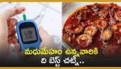  Diabetes Control Chutney: మధుమేహం ఉన్నవారికి ది బెస్ట్ చట్నీ.. తింటే వదలరు!