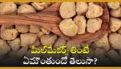 Soya Chunks Facts: మీల్‌మేకర్స్‌ తింటే ఏమౌంతుందో తెలుసా? నమ్మలేని ఎన్నో నిజాలు!