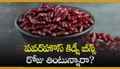 Rajma Benefits Facts: పవర్‌హౌస్ కిడ్నీ బీన్స్‌ రోజు తింటున్నారా? ఏం జరుగుతుందో తెలుసుకోండి!