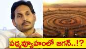 YS Jagan Mohan Reddy : రాజకీయ పద్మవ్యూహంలో జగన్ ఇరుక్కున్నారా..?