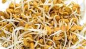 Sprouted Fenugreek: మొలకెత్తిన మెంతులు తినడం వల్ల కలిగే ప్రయోజనాలు ఏమిటి?