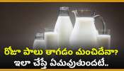 Unknown Facts About Milk: రోజూ పాలు తాగడం మంచిదేనా? ఇలా చేస్తే ఏమవుతుందటే..