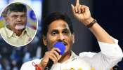 YS Jagan Mohan Reddy: చంద్రబాబుకు దిమ్మతిరిగేలా.. కీలక నేతను రంగంలోకి దింపిన జగన్..!